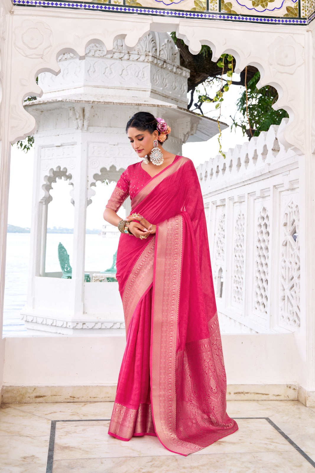 Chinon Saree Collection