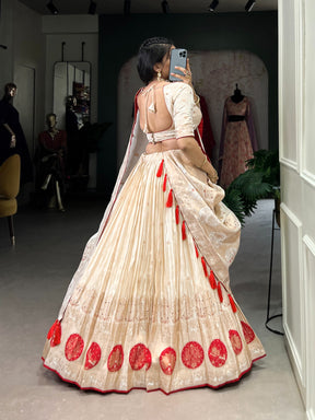 Pure Shimmer Handcrafted Lehenga Choli