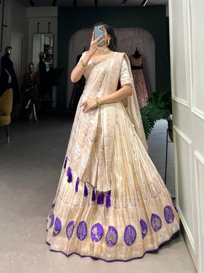 Pure Shimmer Handcrafted Lehenga Choli