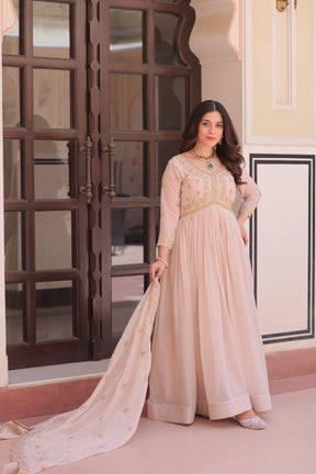 Designer beads & sequins multi embroidery Gorgette Gown