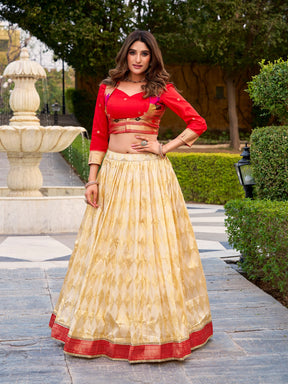 Paithani Duo Co-ord Set in Jacquard Silk